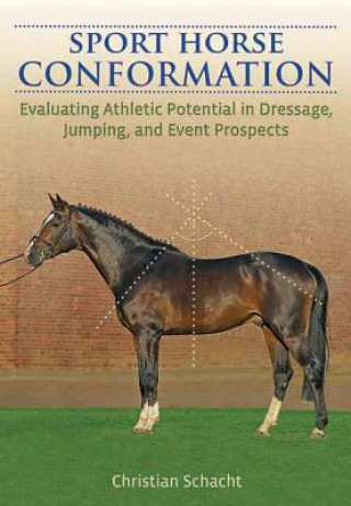 Kniha Sport Horse Conformation Christian Schacht