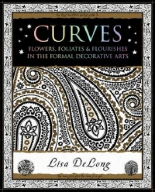 Kniha Curves Lisa Delong
