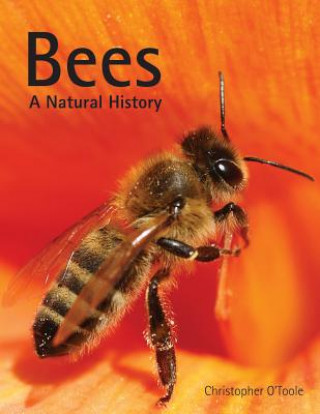 Knjiga Bees: A Natural History Christopher OToole