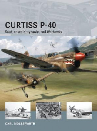 Книга Curtiss P-40 Carl Molesworth