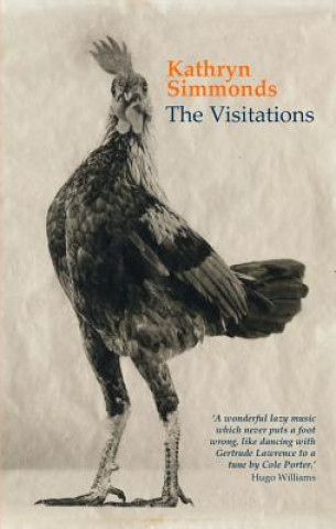 Knjiga Visitations Kathryn Simmonds
