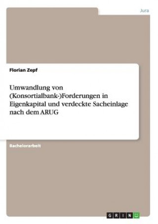 Kniha Umwandlung von (Konsortialbank-)Forderungen in Eigenkapital und verdeckte Sacheinlage nach dem ARUG Florian Zepf