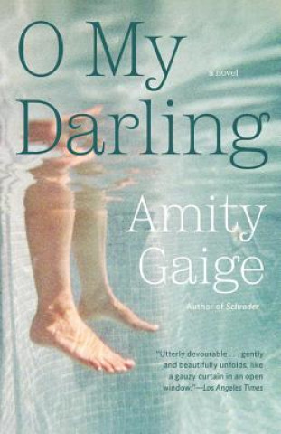 Kniha O My Darling Amity Gaige