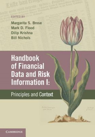 Könyv Handbook of Financial Data and Risk Information I: Volume 1 Margarita S Brose
