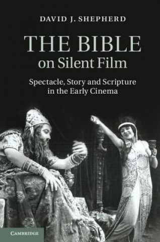 Kniha Bible on Silent Film David J Shepherd