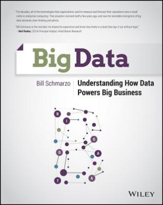 Buch Big Data - Understanding How Data Powers Big Business William D Schmarzo