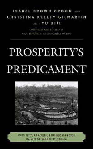 Kniha Prosperity's Predicament Isabel Brown Crook