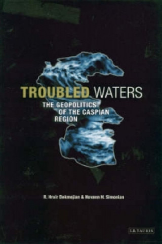Книга Troubled Waters R Hrair Dekmejian
