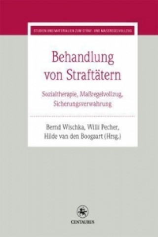 Kniha Behandlung von Straftatern Bernd Wischka