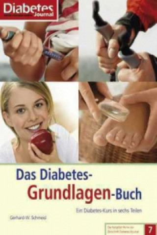 Carte Das Diabetes-Grundlagen-Buch Gerhard-W. Schmeisl