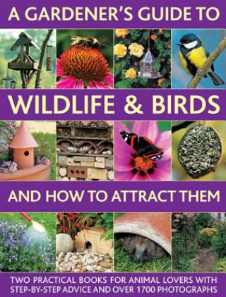 Könyv Gardener's Guide to Wildlife & Birds and How to Attract Them Christine Lavelle