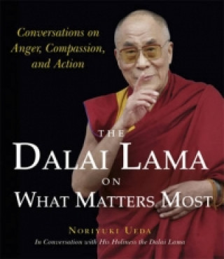 Kniha Dalai Lama on What Matters Most Noriyuki Ueda
