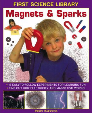 Книга First Science Library: Magnets & Sparks Wendy Madgwick
