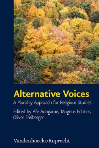 Kniha Alternative Voices Afe Adogame