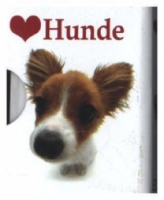 Книга Ich liebe Hunde Helen Exley