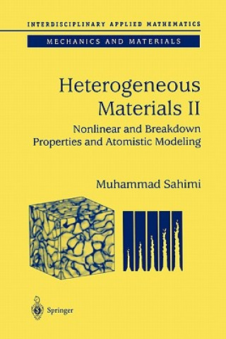 Kniha Heterogeneous Materials Muhammad Sahimi