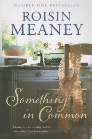 Książka Something in Common Roisin Meaney