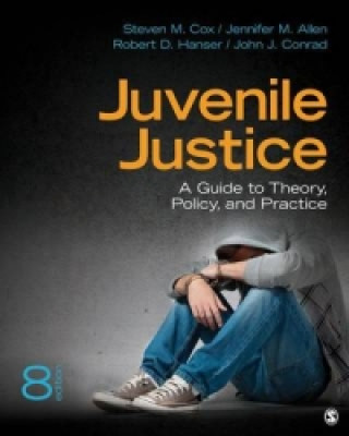 Könyv Juvenile Justice Steven M Cox