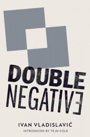 Buch Double Negative Ivan Vladislavic