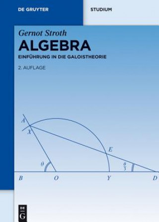 Kniha Algebra Gernot Stroth