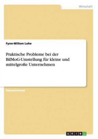 Könyv Praktische Probleme bei der BilMoG-Umstellung fur kleine und mittelgrosse Unternehmen Fynn-Willem Lohe