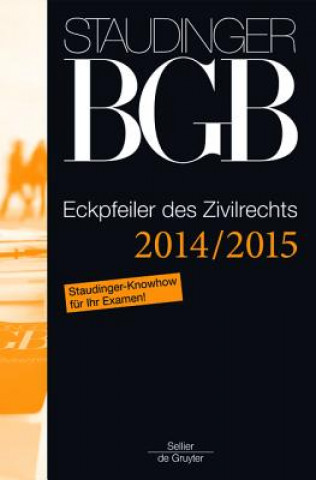 Kniha Eckpfeiler des Zivilrechts Michael Martinek