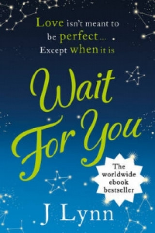 Book Wait for You J Lynn