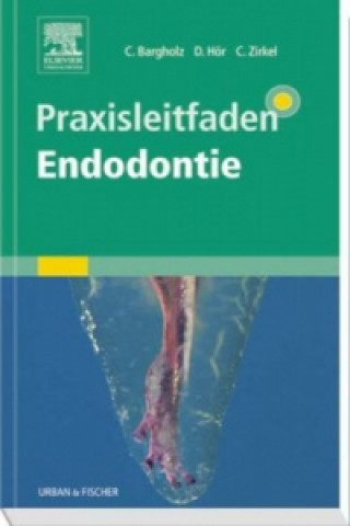 Könyv Praxisleitfaden Endodontie Dr. Clemens Bargholz