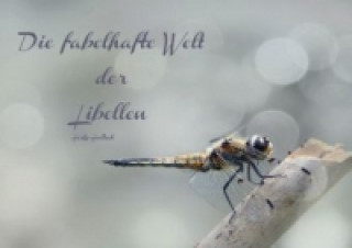 Carte Die fabelhafte Welt der Libellen (Tischaufsteller DIN A5 quer) Heike Hultsch