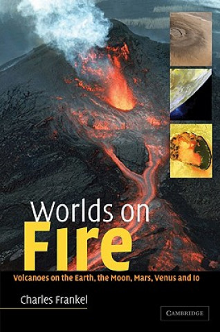 Könyv Worlds on Fire Charles Frankel