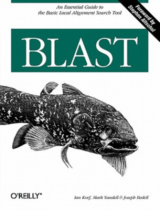 Buch Blast Ian Korf