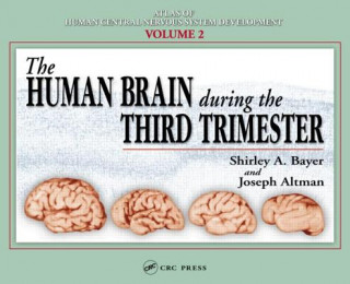 Carte Human Brain During the Third Trimester Shirley A Bayer