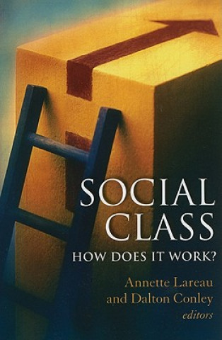 Kniha Social Class Annette Lareau