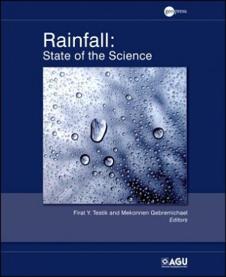 Kniha Rainfall - State of the Science  V191 Firat Y Testik
