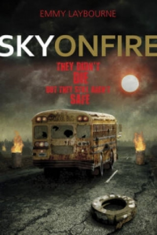 Knjiga Sky on Fire Emmy Laybourne