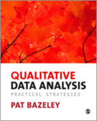 Buch Qualitative Data Analysis Patricia Bazeley