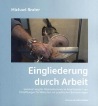 Boek Eingliederung durch Arbeit Michael Brater