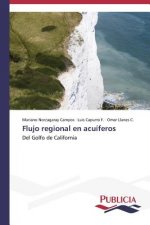 Carte Flujo regional en acuiferos Mariano Norzagaray Campos