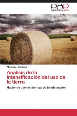 Kniha Analisis de la intensificacion del uso de la tierra Alejandra Ca