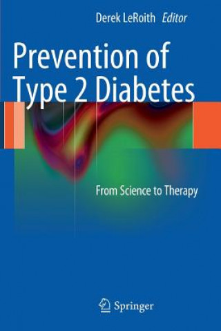 Kniha Prevention of Type 2 Diabetes Derek Leroith