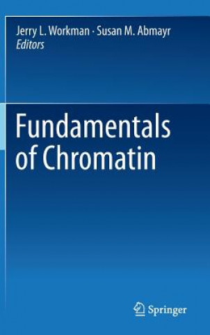 Carte Fundamentals of Chromatin Susan M. Abmayr