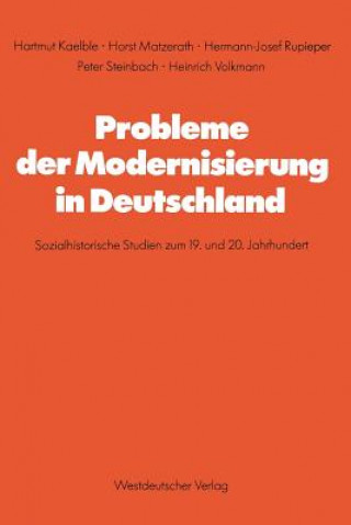 Kniha Probleme Der Modernisierung in Deutschland Hartmut Kaelble