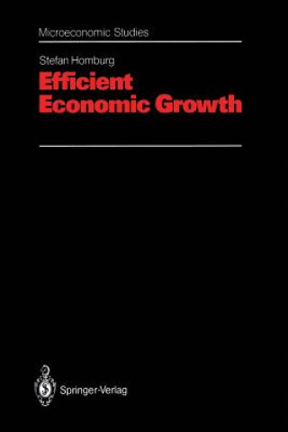 Kniha Efficient Economic Growth Stefan Homburg