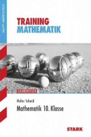 Kniha Mathematik 10.Klasse Walter Schmid