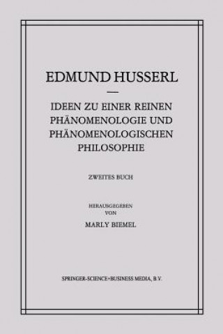 Könyv Ideen Zu Einer Reinen Phanomenologie Und Phanomenologischen Philosophie Marly Biemel