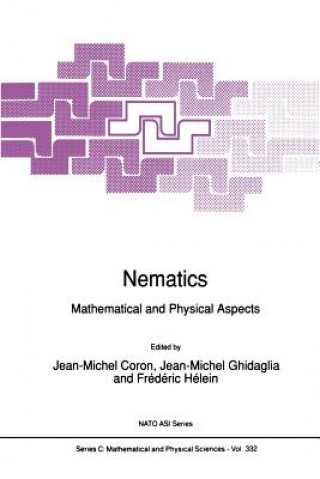 Buch Nematics Jean-Michel Coron