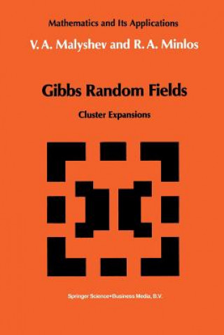 Książka Gibbs Random Fields, 1 V.A. Malyshev