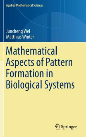 Könyv Mathematical Aspects of Pattern Formation in Biological Systems Juncheng Wei