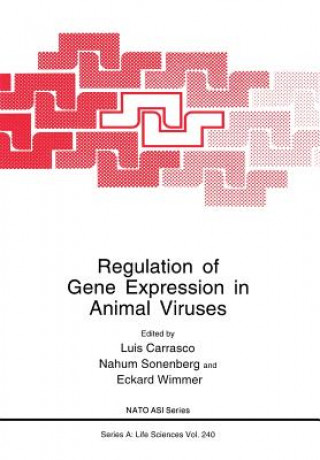 Kniha Regulation of Gene Expression in Animal Viruses Luis Carrasco