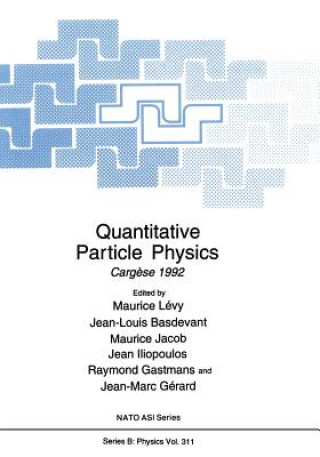 Kniha Quantitative Particle Physics Maurice Lévy